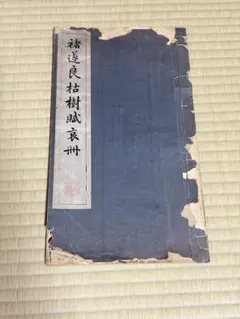 褚遂良 枯樹賦 哀冊　清雅堂　昭和23年 褚遂良 枯樹賦 哀冊 清雅堂 昭和23年 - メルカリ