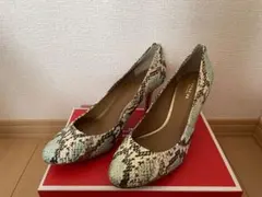 COACH 【パイソン◆パンプス】箱付