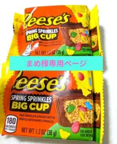 まめ様 Reese's 春期間限定 スプリング スプリンクル ビッグカップ 2個