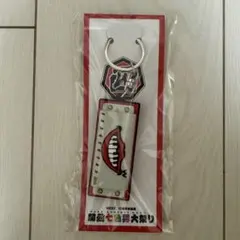 Item thumbnail for item 6a63ded2-b031-4776-baa1-375131a4f482