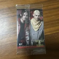 ★BOT ウエハース　カード　JOE 龍★