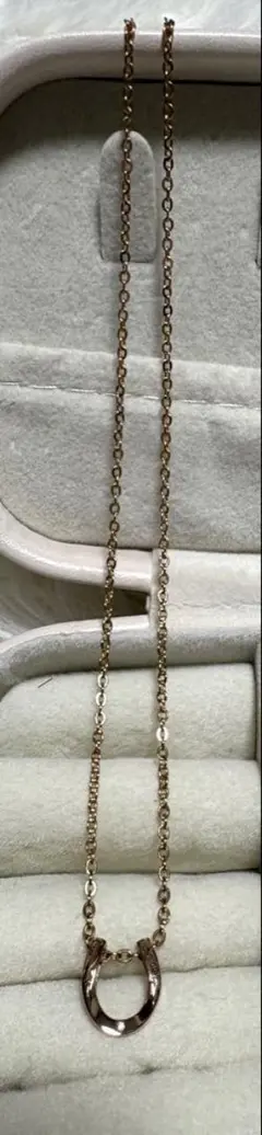 Item thumbnail for item 94d1934f-2aef-469d-b8c6-2bb3a920e332