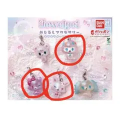 は*様 ジュエルペット めじるしアクセサリー キラキラオーロラver. 3個セッ