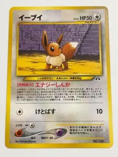 エンテイ_プレミアムファイル2 PROMO 第2世代（★neo・★VS・★we… 2026年最新】プレミアムファイル2の人気アイテム - メルカリ