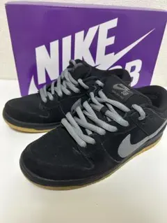 Nike SB Dunk Low Pro 