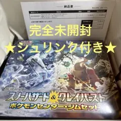 【完全未開封】スノーハザード ＆ クレイバースト ポケモンセンター・ジムセット