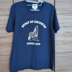 BUMP OF CHICKEN　2013年夏フェス　SUMMER CAMP