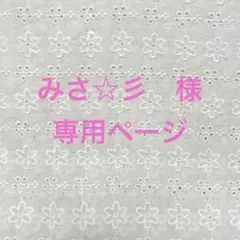 [専用] みさ☆彡様　バッグインバッグ他