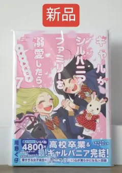ギャルがシルバニアファミリーを溺愛したら。 7 完結 - メルカリ