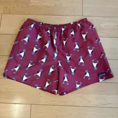 激レアカラー　パタゴニア　バギーズショーツ　メンズL