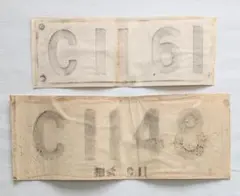 Item thumbnail for item 15c4f3d2-d966-488f-9303-ef585a30d067