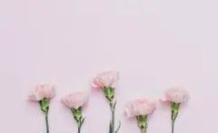 PON様 リクエスト 2点 まとめ商品