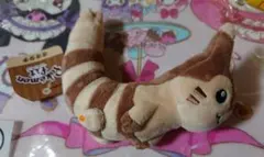 ポケモンセンター限定　ポケモンfit　旧タグ　オオタチ