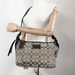 C101 良品 コーチ シグネチャー ショルダーバッグ クロスボディ 肩掛け 茶