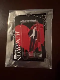 ジョンウォン　House of Vampire　アクリルキーリング　嫉妬