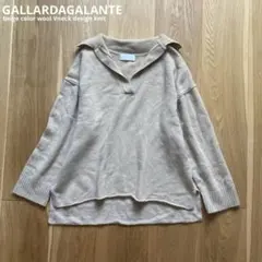 ガリャルダガランテ　Vネックカラーニット　フリーサイズ　ベージュ ウール