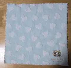 PAUL & JOE 　猫刺繍 　ポールアンドジョー　ミントグリーン　タオル