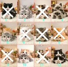 Item thumbnail for item d28a6b83-56d7-41b9-b183-bf02b2adda69