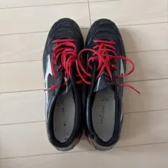 Hirosino様 リクエスト 2点 まとめ商品