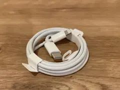 Item thumbnail for item a8e4f9b1-bada-432e-9f2e-6f243f92525a