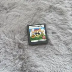 おいでよ どうぶつの森 NTR-AG7J-JPN