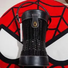 Item thumbnail for item e37cf0a8-c8f8-47f0-9d49-5eb6b86f4e6a