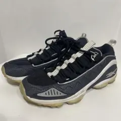 Reebok DMX RUN 10 OG 24センチ