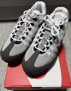 ナイキ エアマックス95 OG ビッグバブル グラナイト AIRMAX95