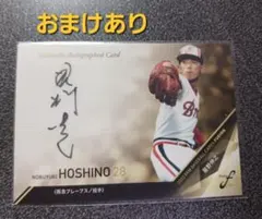 Item thumbnail for item a60c7e91-38f7-44c6-9f32-cd47cd284956