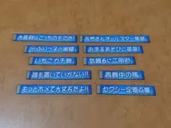日向坂で会いましょう くじ G賞 テロップステッカー 10種