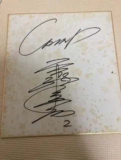 プロ野球選手 サイン色紙