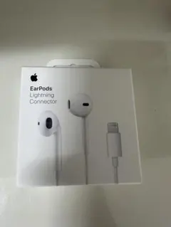 apple lightning イヤホン　純正