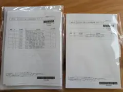 山下幸久 駿台化学S パート1 化学特講1 フルセット 100枚超 サブノート