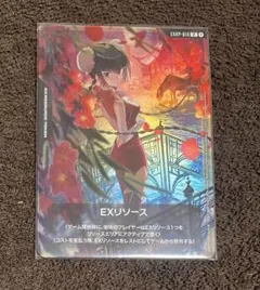 王留美 EXリソース EXRP-014 - メルカリ