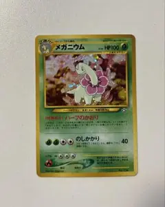 旧裏キラ　エンテイ　ピチュー　オーダイル　メガニウム　マークなし 旧裏キラ エンテイ ピチュー オーダイル メガニウム マークなし