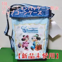 【新品未使用・非売品】ディズニー バケーションパッケージ限定 ポップコーンケース