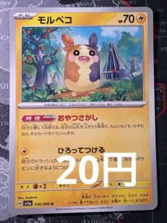 モルペコ