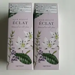 ヘアボーテ エクラ ボタニカル エアカラーフォーム ライトブラウン 2本・未使用のサムネイル