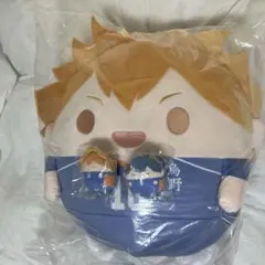 ハイキュー　ぬいくじ　日向　A賞 E賞 影山 E賞