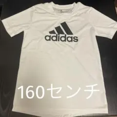 Item thumbnail for item dbe48f1d-86e1-41ae-bea3-552c6c6845bf