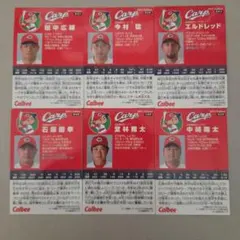 広島東洋カープ トレーディングカードセット2017年