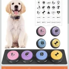 Item thumbnail for item 749d5192-e7df-43a8-8c3e-a4b7bd65fd6a