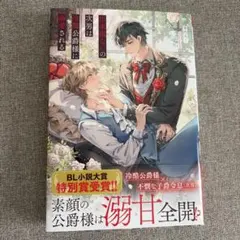 bl小説 文学・小説