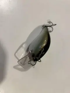 Item thumbnail for item 31ad923f-2b1c-4a35-80a8-6d076576bf3f