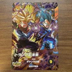 SDV8-069 トランクス:未来