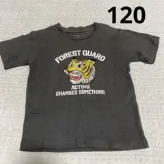 THE SHOP TK Tシャツ 120のサムネイル