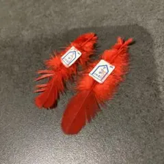 Item thumbnail for item dfa84d2c-45b3-462e-ac28-7595e467de96