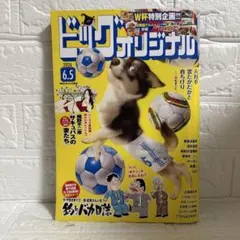 ビックコミックオリジナル11号 - メルカリ