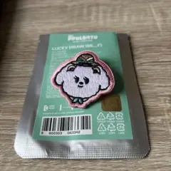 り*ん様 TXT 公式 PPULBATU POPUP ワッペン バムグッ