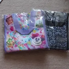 ディズニーランド　スーベニアバック